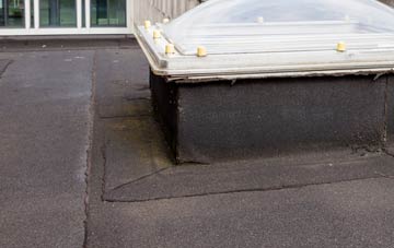 disadvantages of Trecwn flat roofs