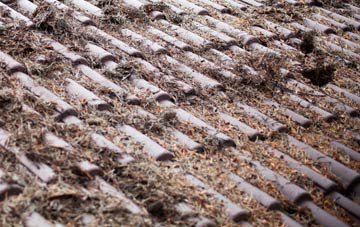 Trecwn roof cleaning companies