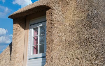 Trecwn thatch roof disadvantages